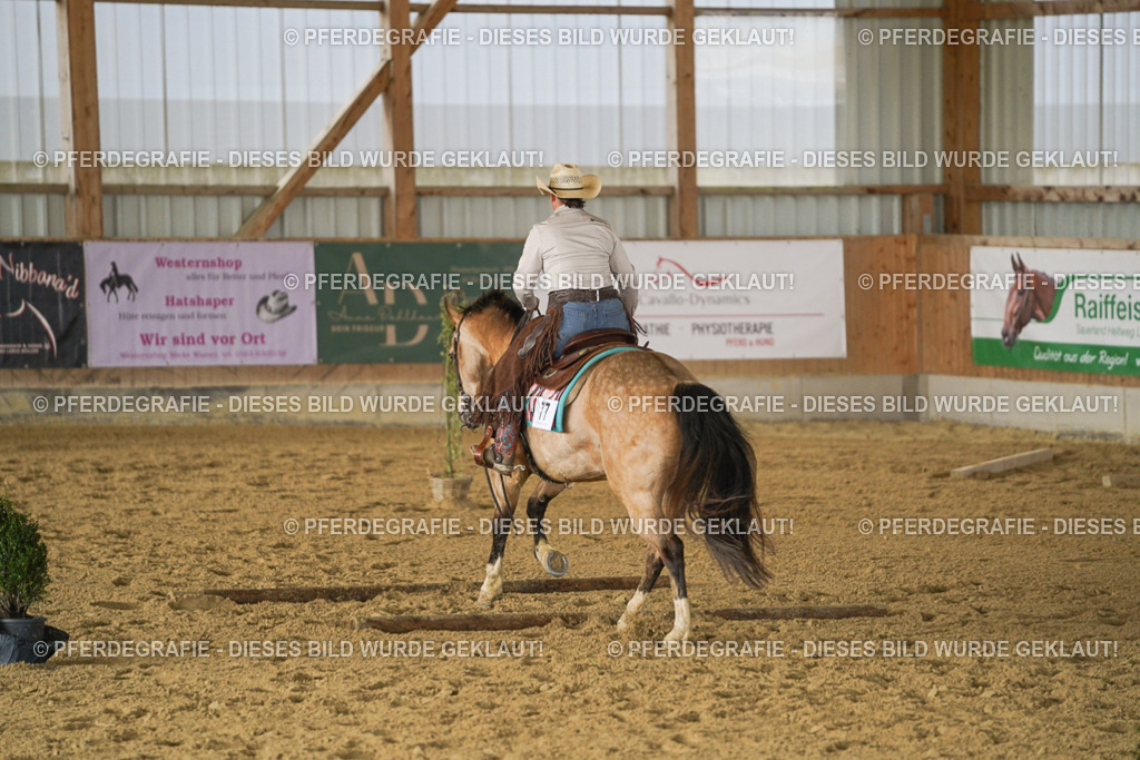 DSC03090 | Pferdegrafie