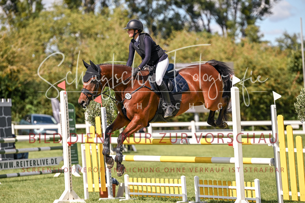 Schugtsche-Düren.2024-08.Amat.Springprf.L-94 | Schugtsche Fotografie - Realisiert mit Pictrs.com