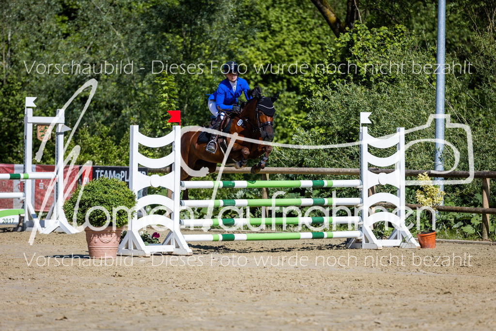 Donop24-A2Spr-166 | MomenTaufnahmen Pferdesportfotos