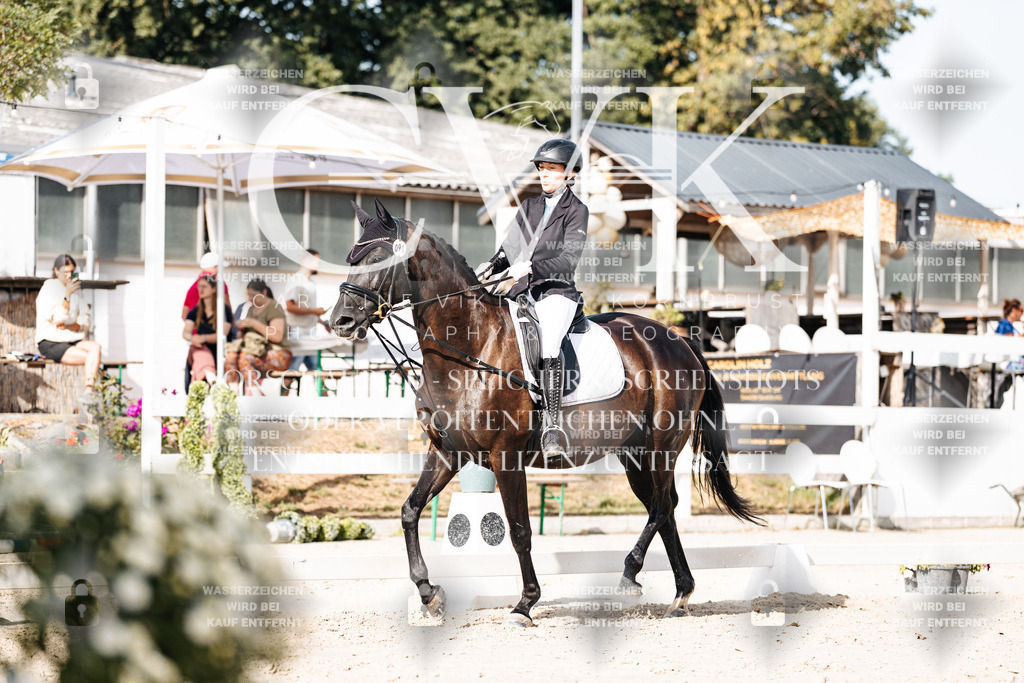 CK905633 | Turnierfotografie Pferdefotografie Trier Rheinland-Pfalz Pferdesport Reitsport Tierfotografie Sportfotografie Pferdevideo Pferdevideografie Equestrianvideography equestrianphotography  - Realisiert mit Pictrs.com