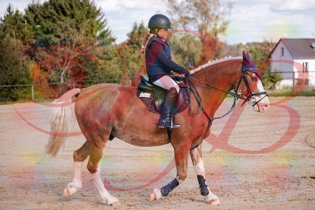 2026_10_03_Siefer-Hof_144332_Z81_17053782 | Professionelle Reitsport-, Turnier- und Eventfotografie von Robert Broda. Galerien mit ausgewählten und bearbeiteten Bildern direkt online ansehen und bestellen.