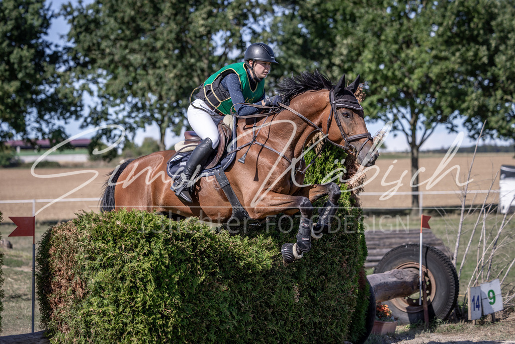 20260906-_3LI5576 | Tierfotografie Pferde, Hunde, Katzen, Haustiere.
Turnierfotografie Reitturniere, Reiten, Springreiten, Dressur in Hanau, dem Main-Kinzig-Kreis und dem Rhein-Main- Gebiet um Frankfurt