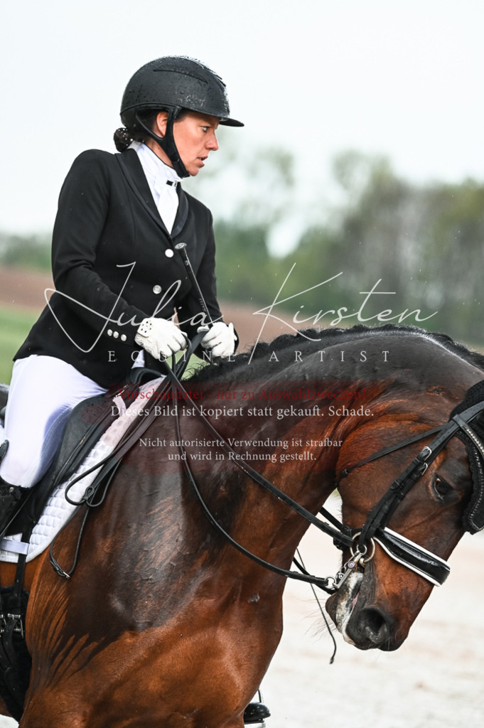 DSC_4195 | Pferde- und Turnierfotografie in Westsachsen. Pferdeportraits, Auftragszeichnungen und intuitive Kunst.