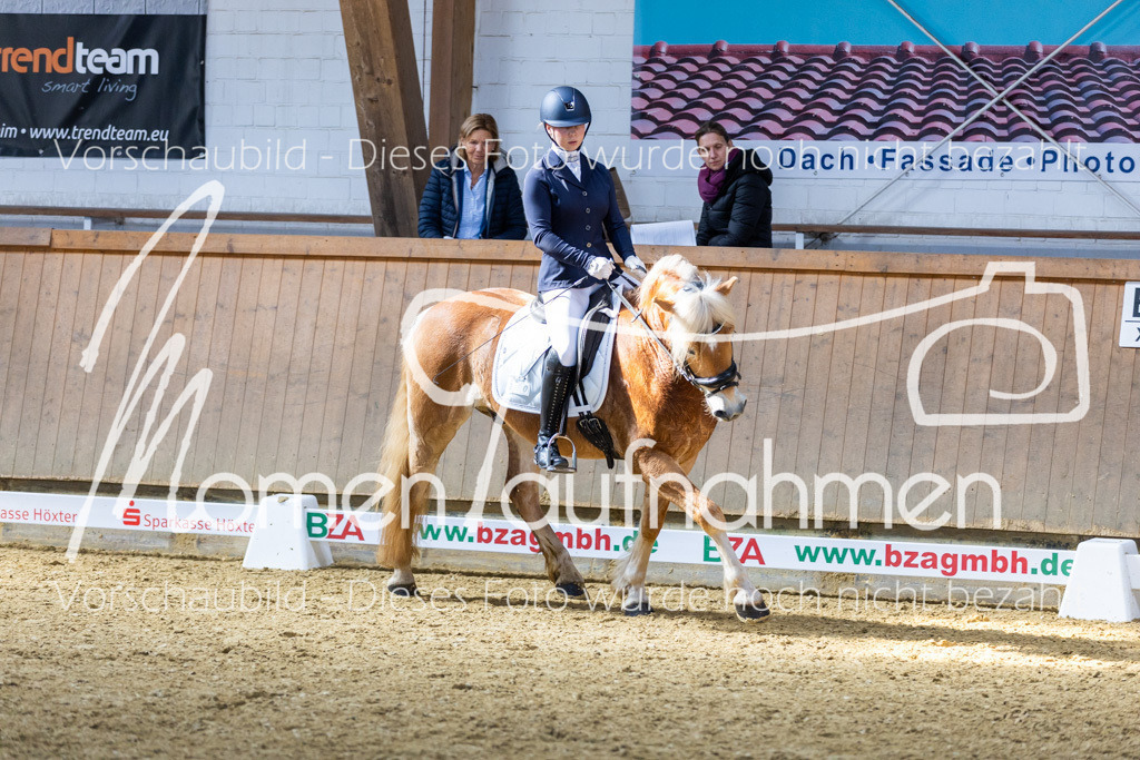 Sth-LPO25-DrR-L-124 | MomenTaufnahmen Pferdesportfotos