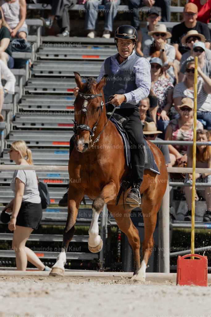 WE_SP_Stoib_339_PI2025_1512 | Pferd International München 2025