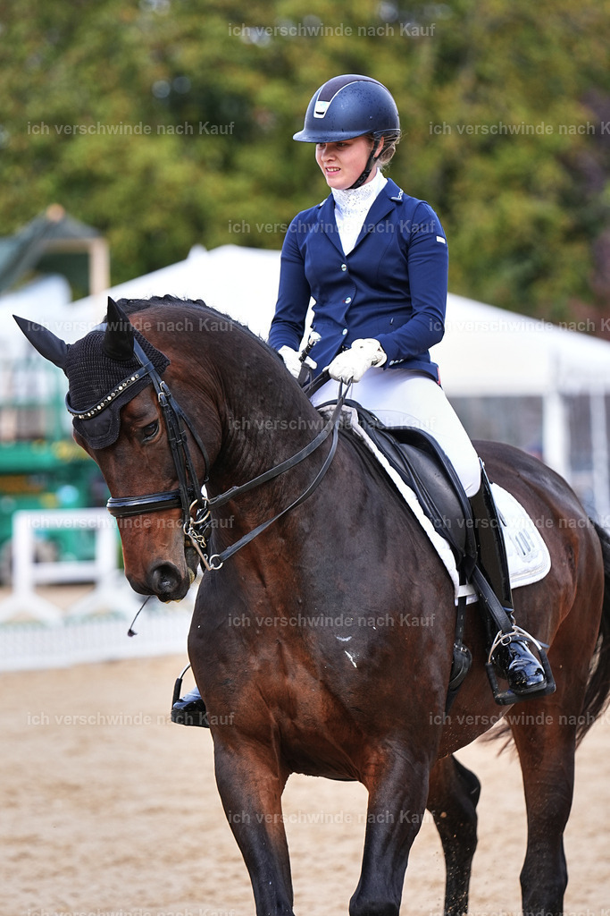 05-109-DRESSUR M_  -Marixx-4972 | working equitationturnier fotograf videograf stoibphotography marixx film working equitation deutschland reitsport turnierfotografie eventfotografie equestrian events