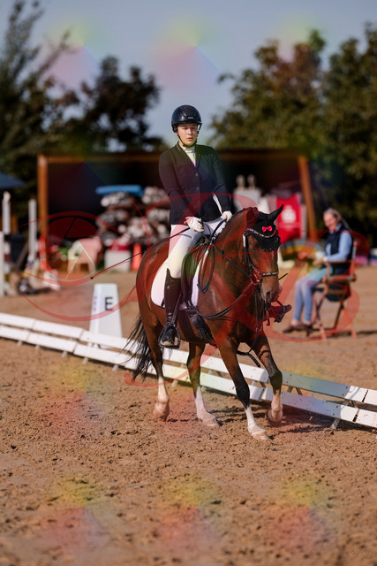 2026_10_03_Siefer-Hof_115806_Z81_00132154 | Professionelle Reitsport-, Turnier- und Eventfotografie von Robert Broda. Galerien mit ausgewählten und bearbeiteten Bildern direkt online ansehen und bestellen.