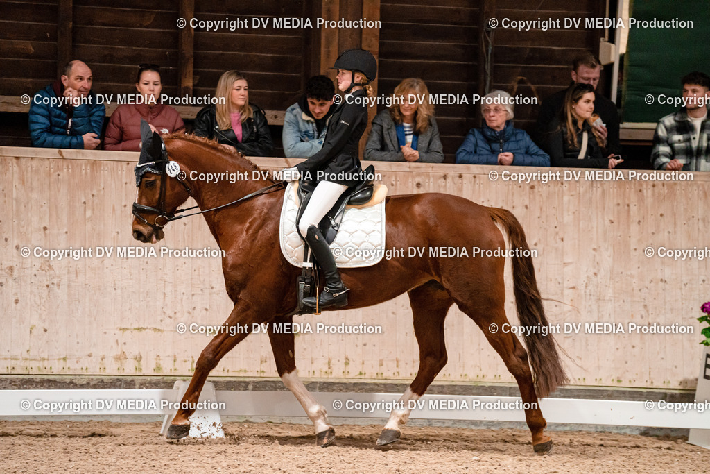 Dressur Tag 1 -360 | dv-media-shop - Realisiert mit Pictrs.com