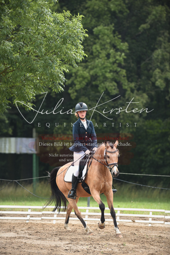 DSC_0078 | Pferde- und Turnierfotografie in Westsachsen. Pferdeportraits, Auftragszeichnungen und intuitive Kunst.