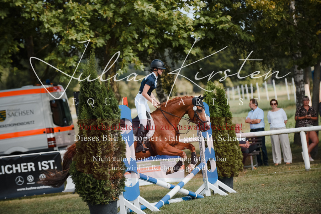 DSC_5353 | Pferde- und Turnierfotografie in Westsachsen. Pferdeportraits, Auftragszeichnungen und intuitive Kunst.