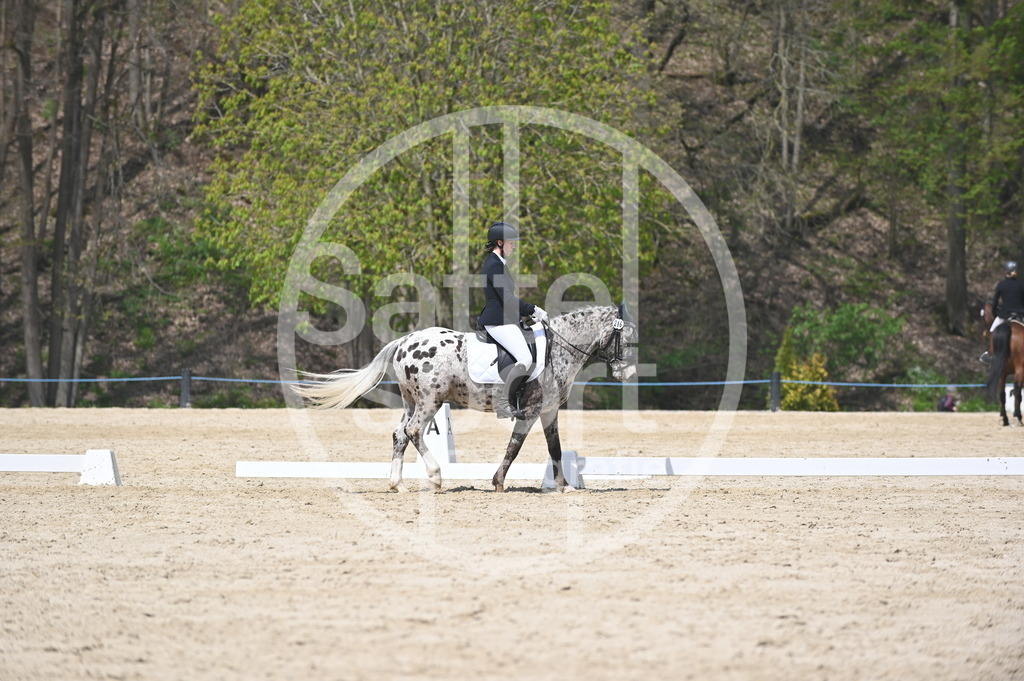 DSC_2276 | sattelsport - Realisiert mit Pictrs.com