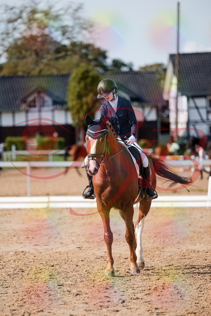 2026_10_03_Siefer-Hof_123806_Z63_55637763 | Professionelle Reitsport-, Turnier- und Eventfotografie von Robert Broda. Galerien mit ausgewählten und bearbeiteten Bildern direkt online ansehen und bestellen.