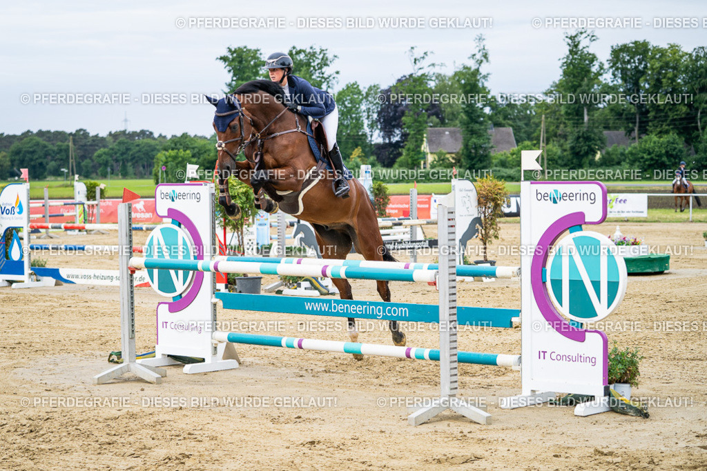 DSC04894 | Pferdegrafie