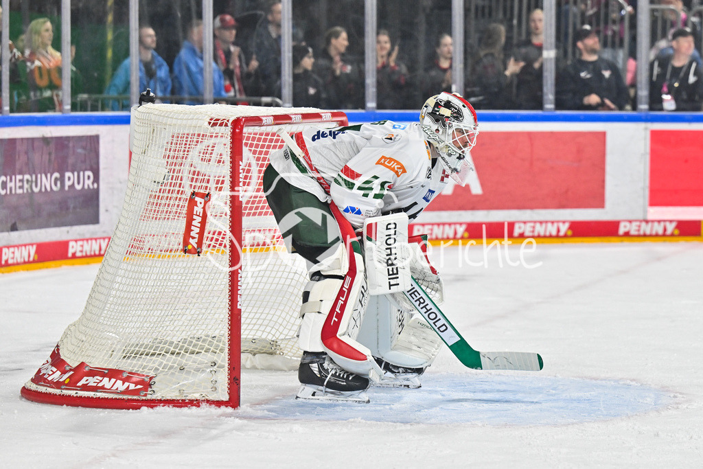Kölner Haie - Augsburger Panther | KÖLN, DEUTSCHLAND - 04. MÄRZ: im Bild Peyton JONES (Augsburger Panther 41) in seinem Tor / Einzelfoto / Freisteller während dem Match zwischen den Kölner Haien und den Augsburger Panthern am 48. Spieltag der Penny DEL in der Lanxess Arena