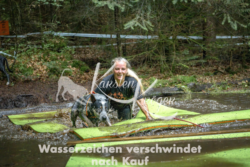 1531_ZZ91090-Bearbeitet | kk-dogfotos