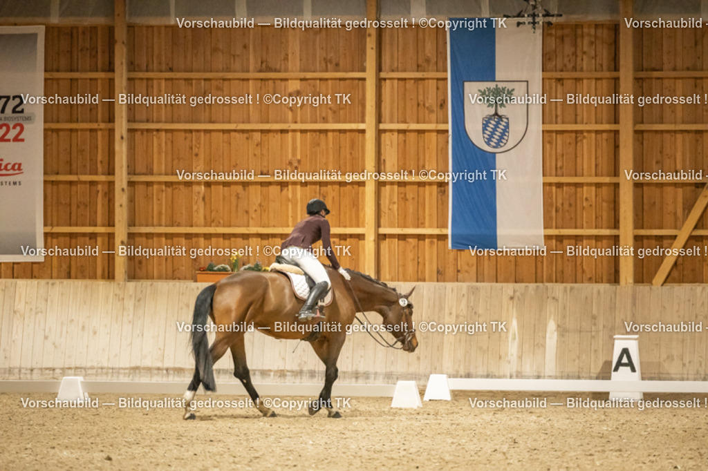 _D5A8072 | Emotionale Pferde- & People-Fotografie rund um Heidelberg, Leimen & Umgebung. Natürliche Fotos von Pferd, Mensch & Familie. Jetzt Termin sichern!