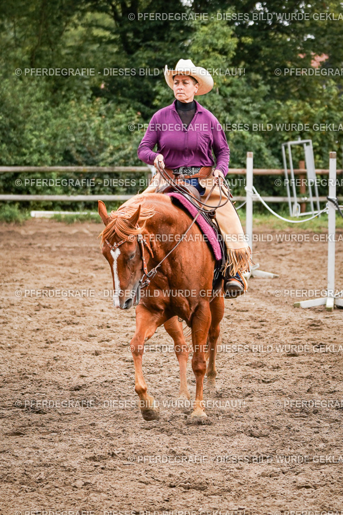 DSC08689 | Pferdegrafie