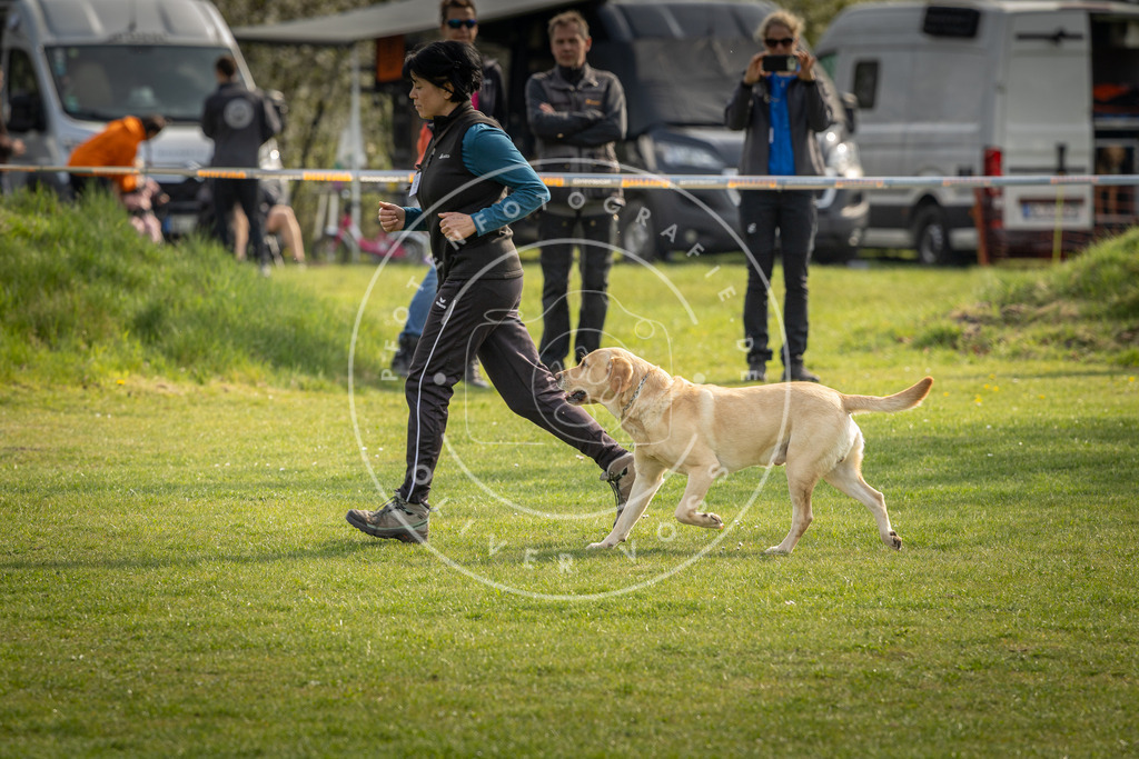 Pfotenfotografie_DV3A4995 | Hundefotografie, Tierfotograf, Pfotenfotografie, Fotoshooting Hund, Hunde Portrait, Hundesport, Hundeportraits, Heideshooting, Hunde, Sportfotograf, Hundefotograf, Turnierhundsport, THS,  - Realisiert mit Pictrs.com