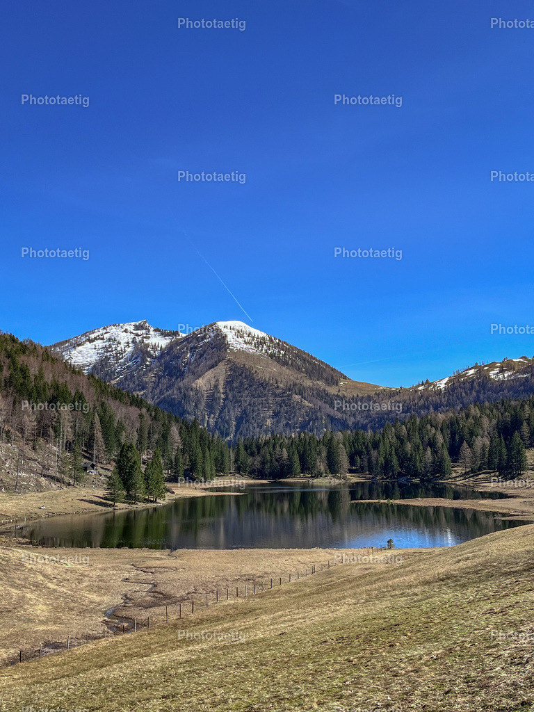 IMG_9332 | phototaetig