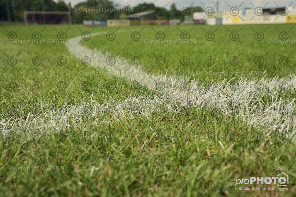 202507_Rernböck-Rasen_NZ9_1424 | proPHOTO - Realisiert mit Pictrs.com