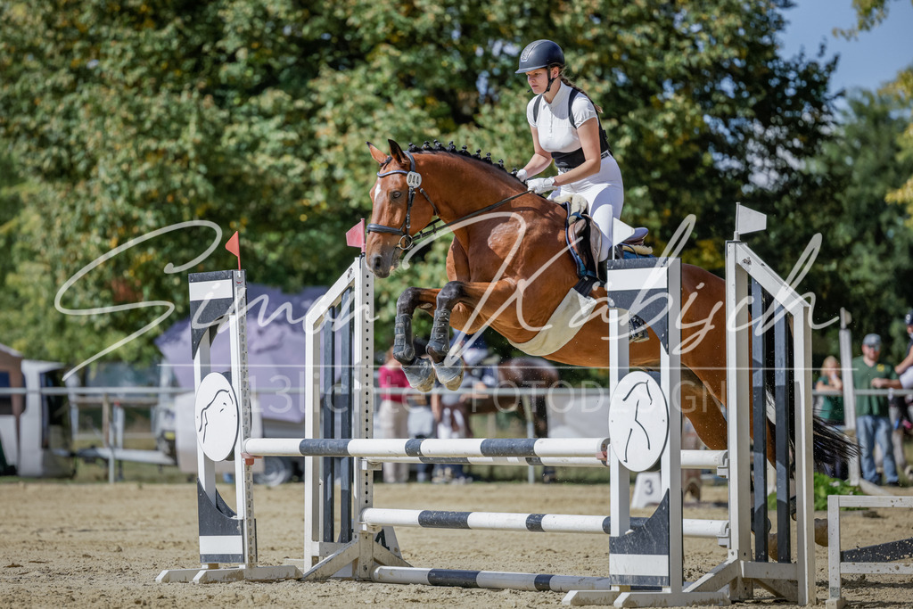20250906-_3LI6190 | Tierfotografie Pferde, Hunde, Katzen, Haustiere.
Turnierfotografie Reitturniere, Reiten, Springreiten, Dressur in Hanau, dem Main-Kinzig-Kreis und dem Rhein-Main- Gebiet um Frankfurt