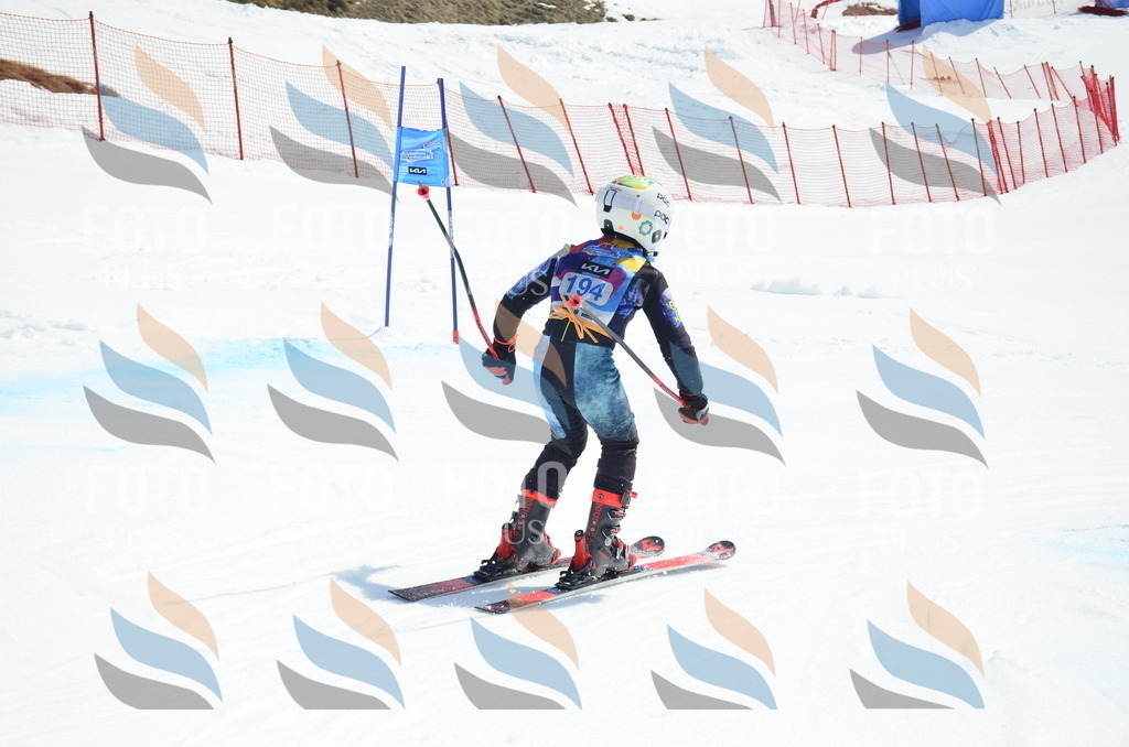 _ELE1327 | holidayphoto