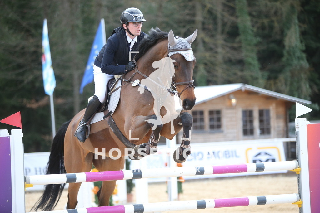 AS8V8333 | Willkommen bei Brunnmayr - Design & Fotografie – Ihrem Spezialisten für Reitturniere und Pferdeveranstaltungen in Oberösterreich, Salzburg und Bayern! Seit über 17 Jahren sind wir leidenschaftlich dabei.