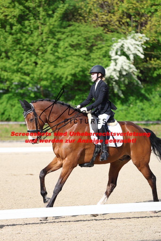 A40A3675 | lmwpictures - Realisiert mit Pictrs.com