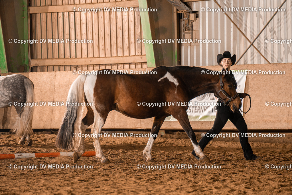 BAL01228 | dv-media-shop - Realisiert mit Pictrs.com