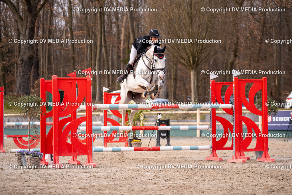 Kranichstein Tag 2-2242 | dv-media-shop - Realisiert mit Pictrs.com