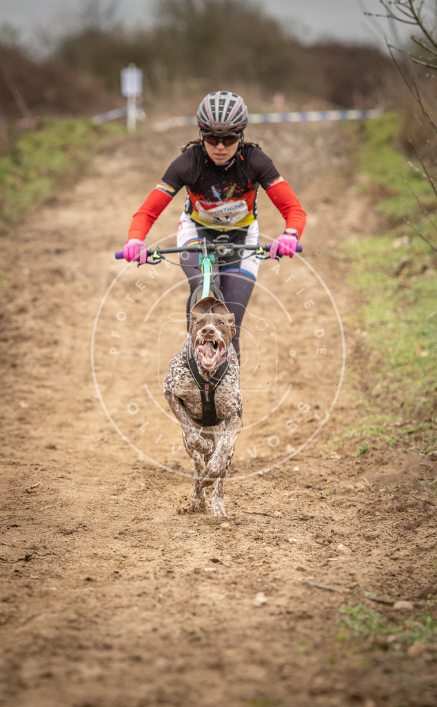 DV3A1256 | Hundefotografie, Tierfotograf, Pfotenfotografie, Fotoshooting Hund, Hunde Portrait, Hundesport, Hundeportraits, Heideshooting, Hunde, Sportfotograf, Hundefotograf, Turnierhundsport, THS,  - Realisiert mit Pictrs.com