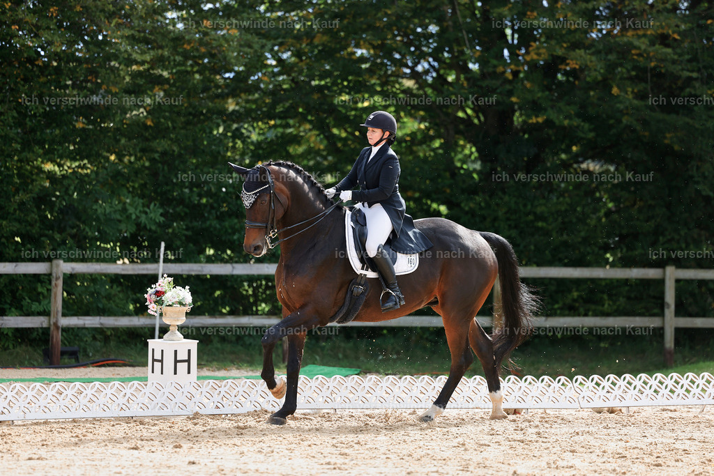 6-160-AMATUER-DRESSUR S_  -StoibPH-3448 | working equitationturnier fotograf videograf stoibphotography marixx film working equitation deutschland reitsport turnierfotografie eventfotografie equestrian events
