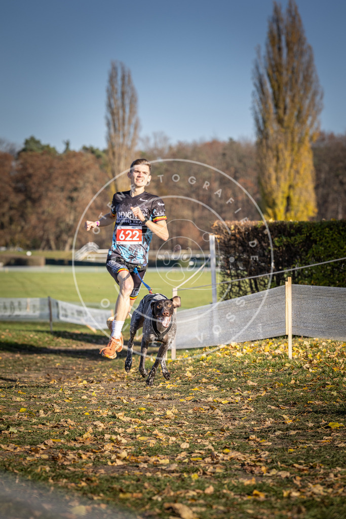 CaniXpix_DV3A9934 | Hundefotografie, Tierfotograf, Pfotenfotografie, Fotoshooting Hund, Hunde Portrait, Hundesport, Hundeportraits, Heideshooting, Hunde, Sportfotograf, Hundefotograf, Turnierhundsport, THS,  - Realisiert mit Pictrs.com