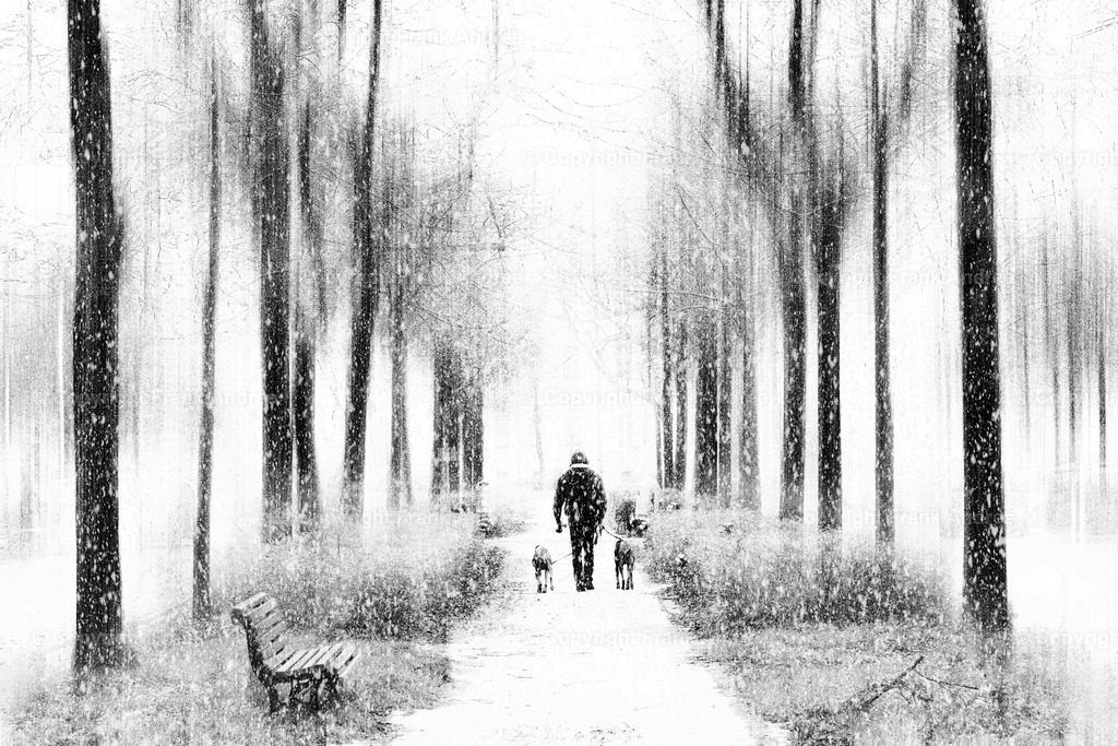Spaziergang mit Hunden im Schnee | Ein Mann geht mit seinen beiden Hunden in der Mitte einer Allee in Berlin Prenzlauer Berg spazieren. Es schneit große Schneeflocken. Abstrakte Straßenfotografie aus Berlin. - Realisiert mit Pictrs.com