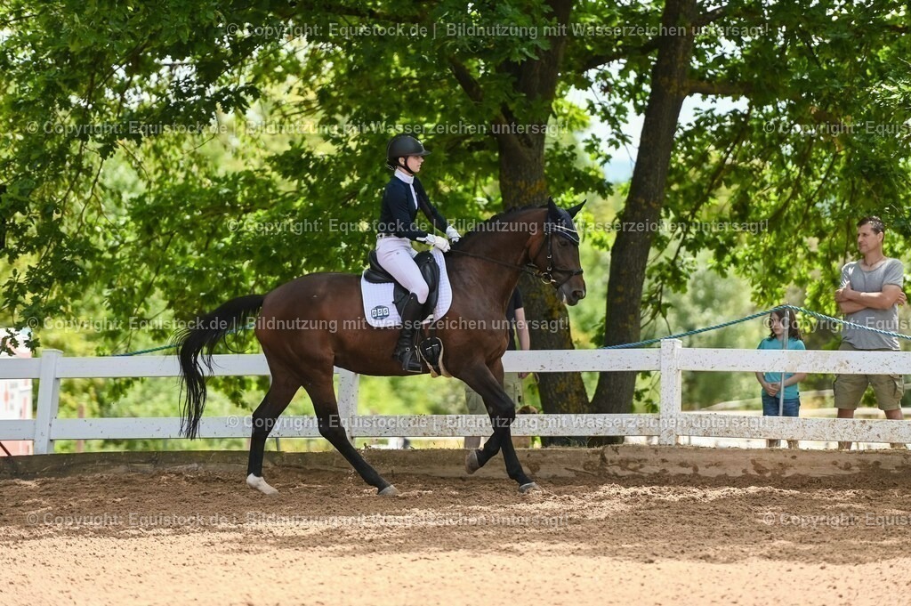20230716_03_Dressurprfg. Kl.L - Tr._0266 | equistock