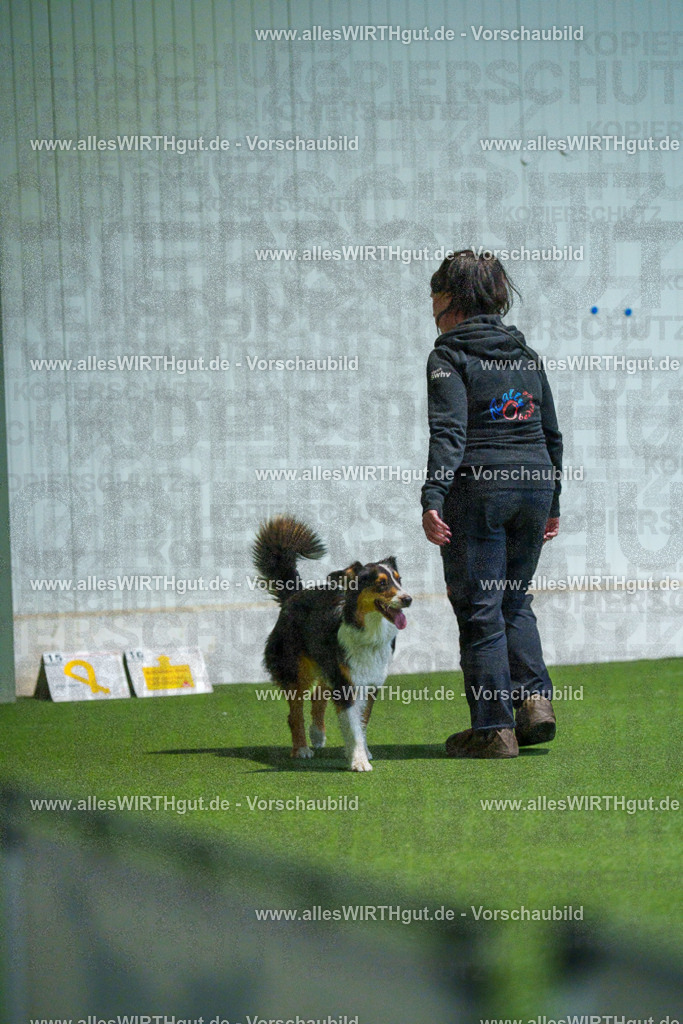 7R502023 | Professionelle Tierfotografie in Mönchengladbach von Daniel Wirth (allesWIRTHgut). Liebevolle & natürliche Bilder von Hunden & Katzen für unvergessliche Erinnerungen.