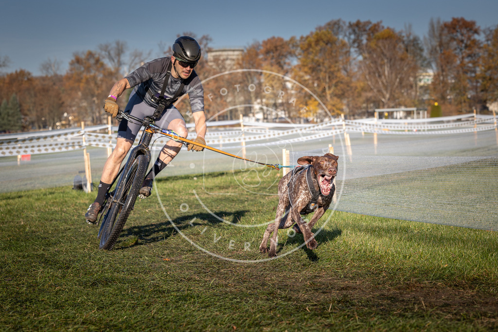 CaniXpix_0L8A4337 | Hundefotografie, Tierfotograf, Pfotenfotografie, Fotoshooting Hund, Hunde Portrait, Hundesport, Hundeportraits, Heideshooting, Hunde, Sportfotograf, Hundefotograf, Turnierhundsport, THS,  - Realisiert mit Pictrs.com