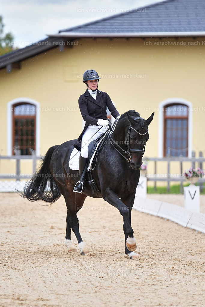8_1-118-Klasse S_  -Marixx-4232 | working equitationturnier fotograf videograf stoibphotography marixx film working equitation deutschland reitsport turnierfotografie eventfotografie equestrian events