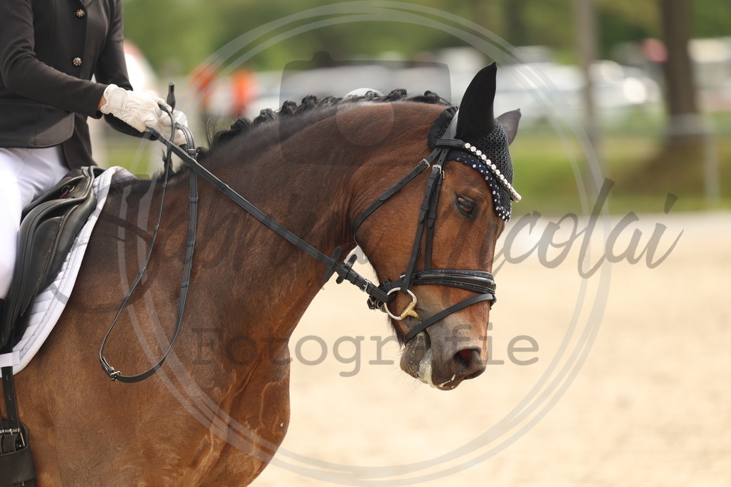 994A6913 | sabrinanicolaifotografie - Realisiert mit Pictrs.com