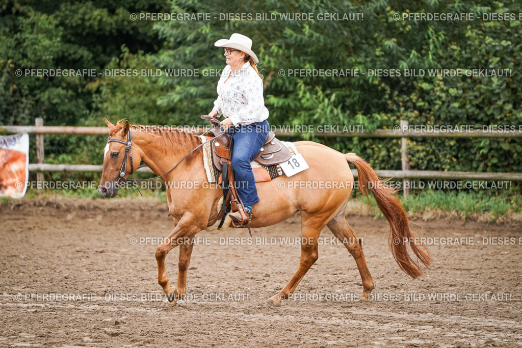 DSC02972 | Pferdegrafie