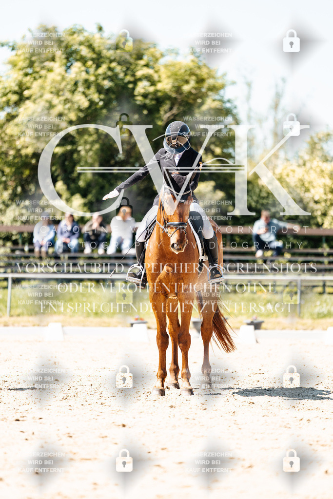 CK905726 | Turnierfotografie Pferdefotografie Trier Rheinland-Pfalz Pferdesport Reitsport Tierfotografie Sportfotografie Pferdevideo Pferdevideografie Equestrianvideography equestrianphotography  - Realisiert mit Pictrs.com