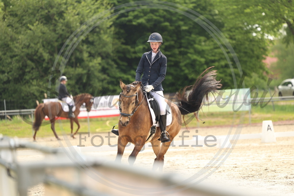 994A6339 | sabrinanicolaifotografie - Realisiert mit Pictrs.com