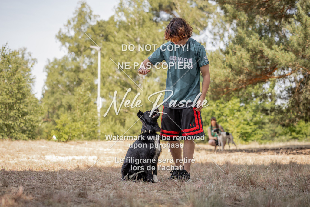 nelerasche_soDD2_337 | nelerasche