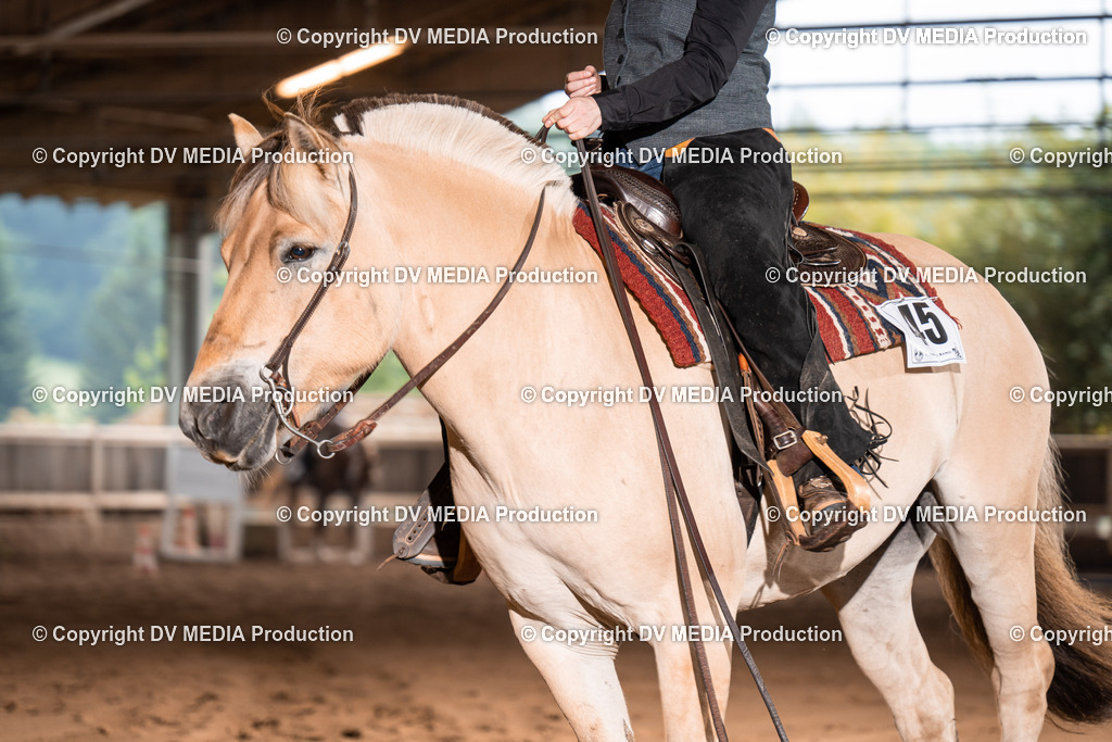 Erbach Tag 2-608 | dv-media-shop - Realisiert mit Pictrs.com