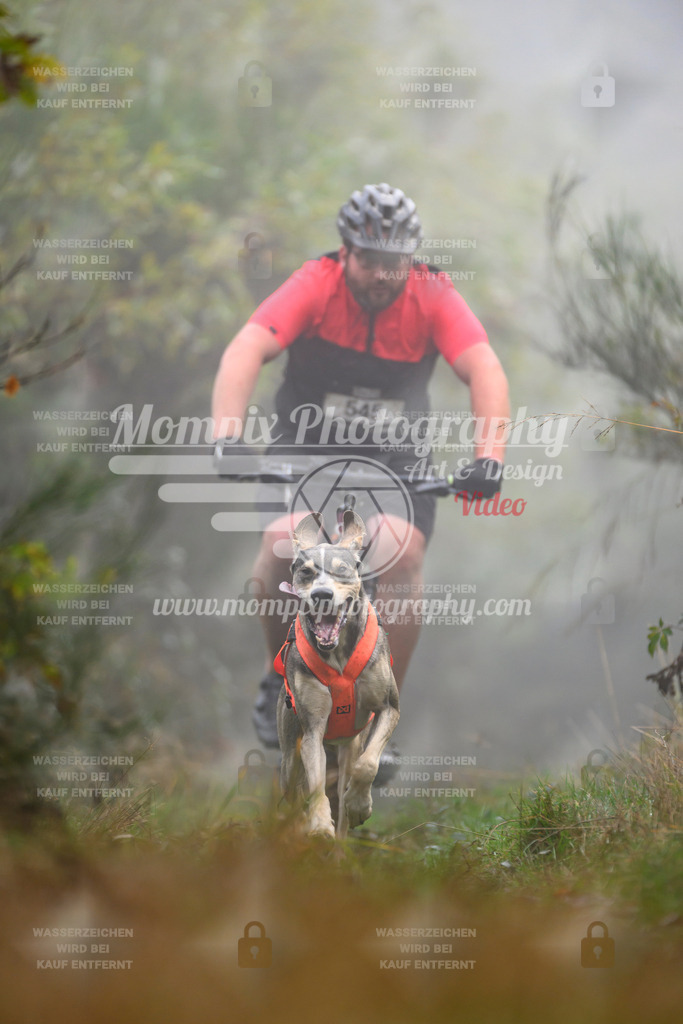 MompixPhotography_20TSB_E4_Bike-106 | PayLife