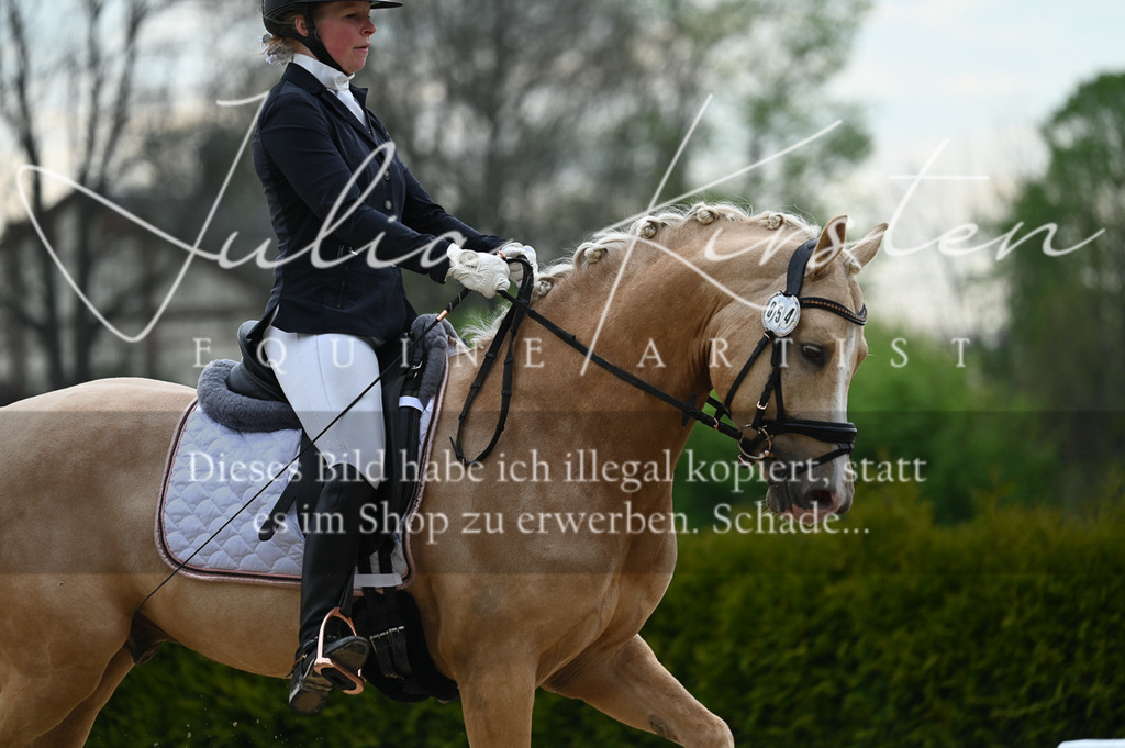 20230512_JK-Röhrsdorf-02-093 | Pferde- und Turnierfotografie in Westsachsen. Pferdeportraits, Auftragszeichnungen und intuitive Kunst.