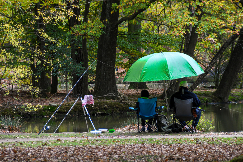 Gemeinsame Geborgenheit im Herbstregen | Zwei Angler sitzen friedlich unter einem großen, leuchtend grünen Regenschirm am Ufer eines ruhigen Gewässers. Unbeeindruckt vom herbstlichen Wetter genießen sie die Stille der Natur. Das sanft gefärbte Blätterdach der umgebenden Bäume und der mit Herbstlaub bedeckte Boden hüllen die Szene in eine warme, nostalgische Atmosphäre. Die Angelrute ist ausgeworfen, während der Schirm zuverlässigen Schutz vor dem Regen bietet. Eine herzerwärmende Aufnahme über Freundschaft, Geduld und die zeitlose Faszination des Draußenseins im Herbst. - Realisiert mit Pictrs.com