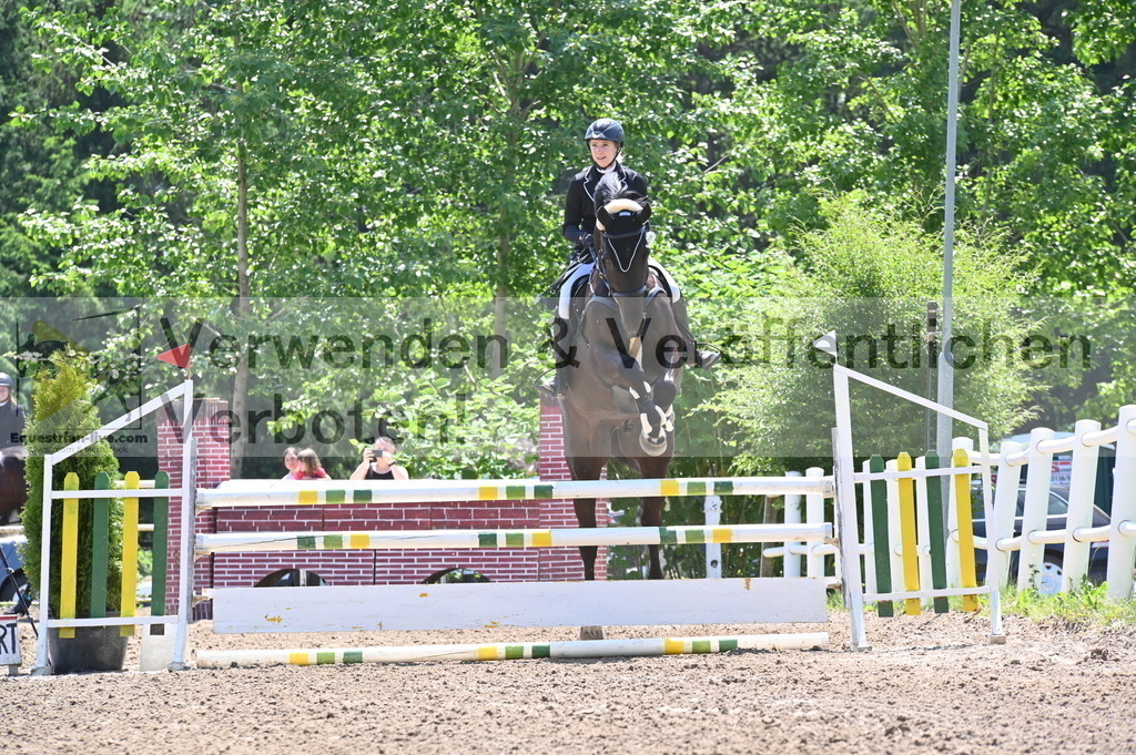 DSC_9219 | equestrian-live-com