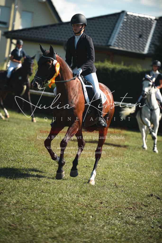 DSC_7337 | Pferde- und Turnierfotografie in Westsachsen. Pferdeportraits, Auftragszeichnungen und intuitive Kunst.