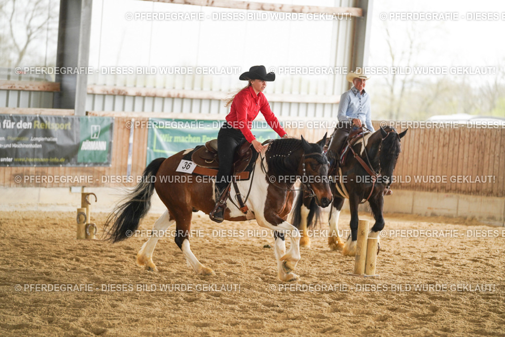 DSC04226 | Pferdegrafie